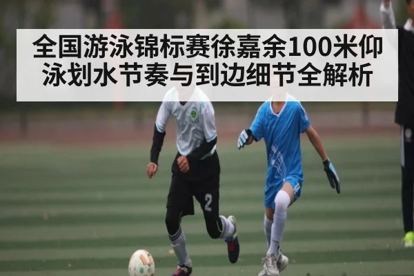 全国游泳锦标赛徐嘉余100米仰泳划水节奏与到边细节全解析